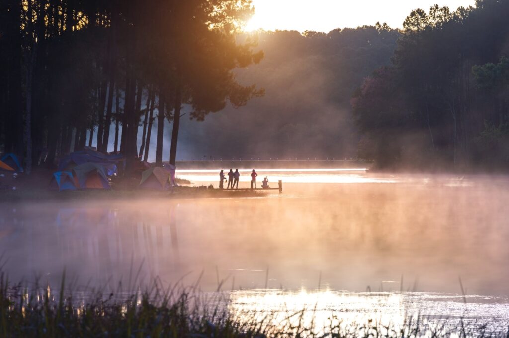 Forest Bathing and Folk Traditions in Câmpina
